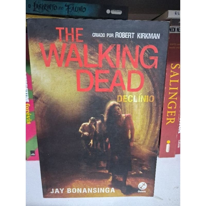 LIVROS - THE WALKING DEAD - DECLÍNIO e INVASÃO (usado)