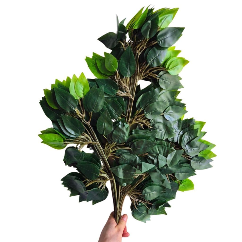 Kit C/ 6 Galhos Folha De Ficus Artificial Silicone 60x50cm