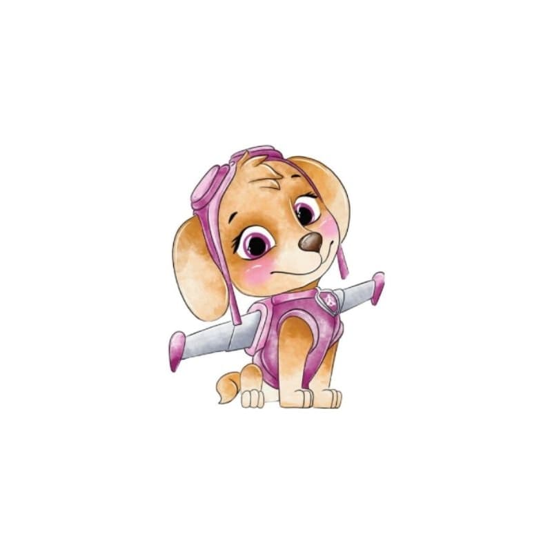 10 almofadas skye patrulha canina aquarela personalizadas para lembrancinha 15cm
