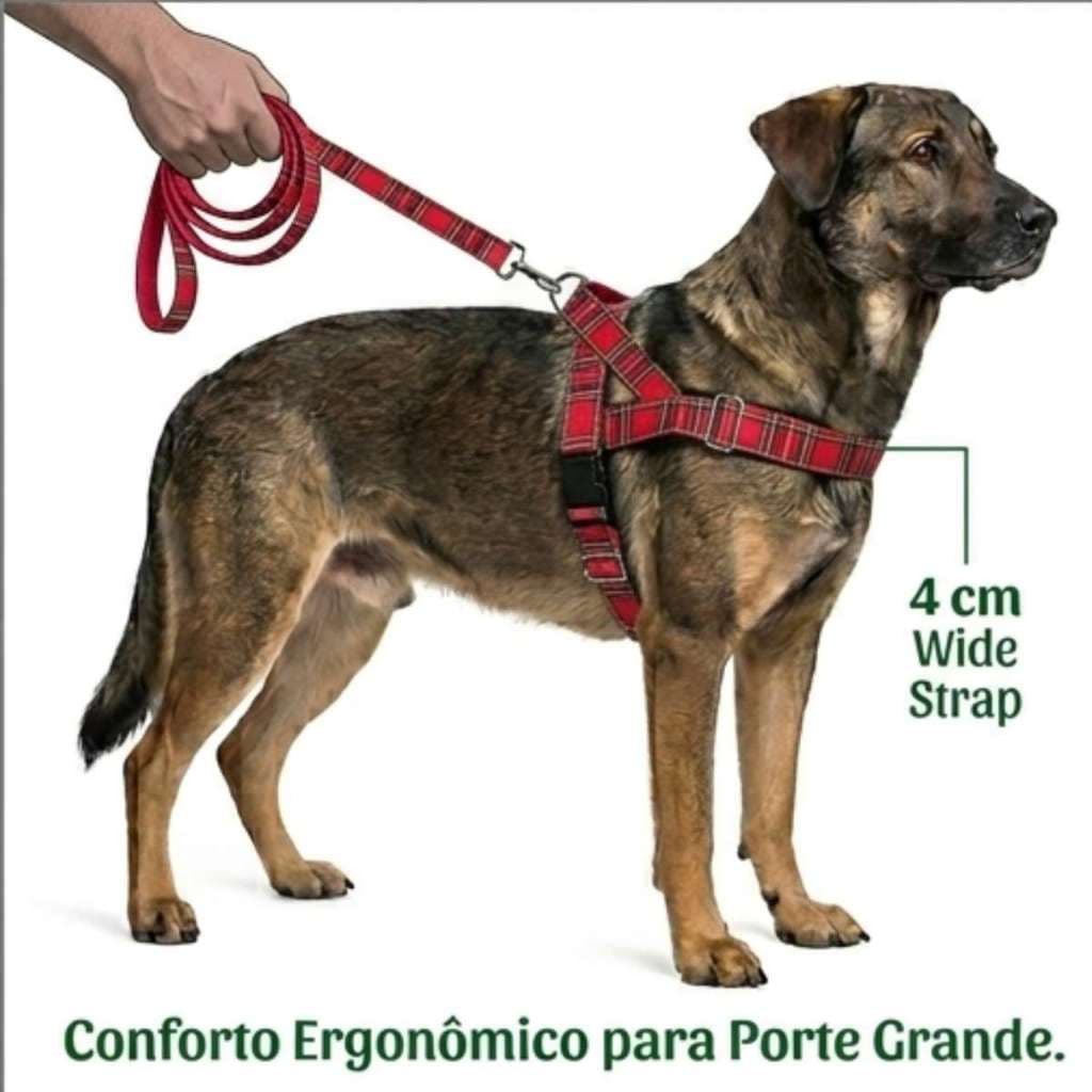 Coleira Peitoral Canadense G Reforçada Com Guia 50cm Vermelho Xadrez Xadrez G