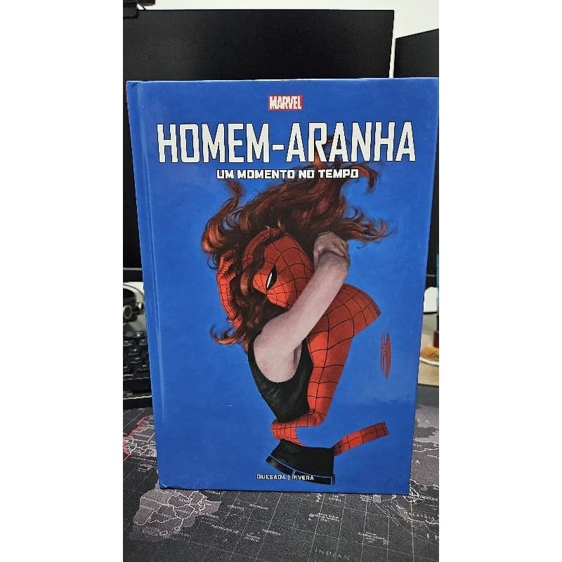 Homem Aranha: Um Momento no Tempo