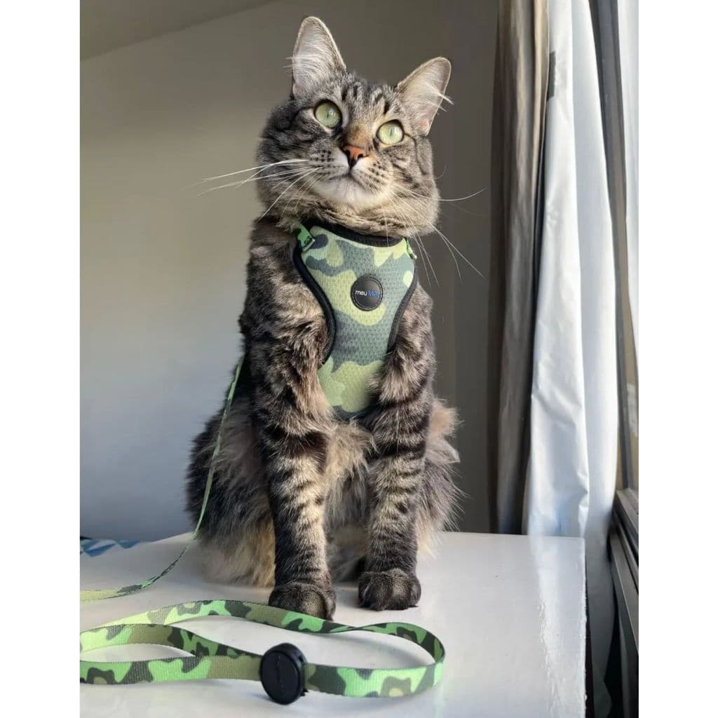 Peitoral Para Gato Com Guia Ajustável Anti Fuga MeuAuAu Com Trava Segurança