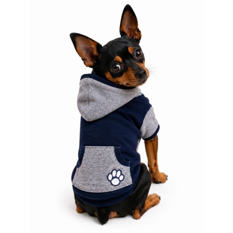 Roupa Pet Blusa Moleton Cães Gatos Atacado Pet Shop 10 Unid Pet Shop Atacado Revenda