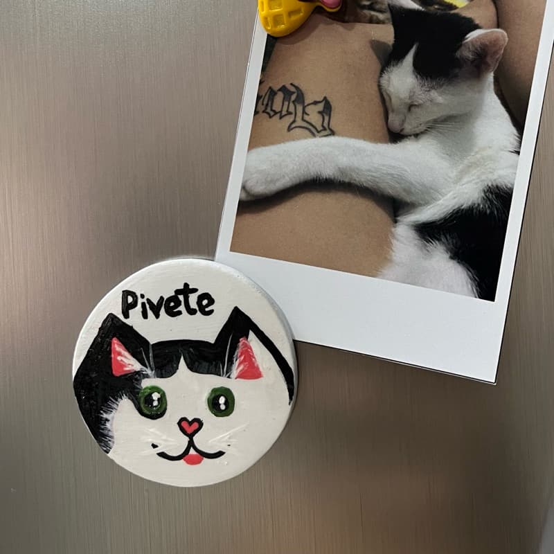 Ímã de Pet | Gato/Cachorro | Geladeira e Superfícies Magnéticas | Personalizado | Cerâmica Fria | Feito à Mão | Presente