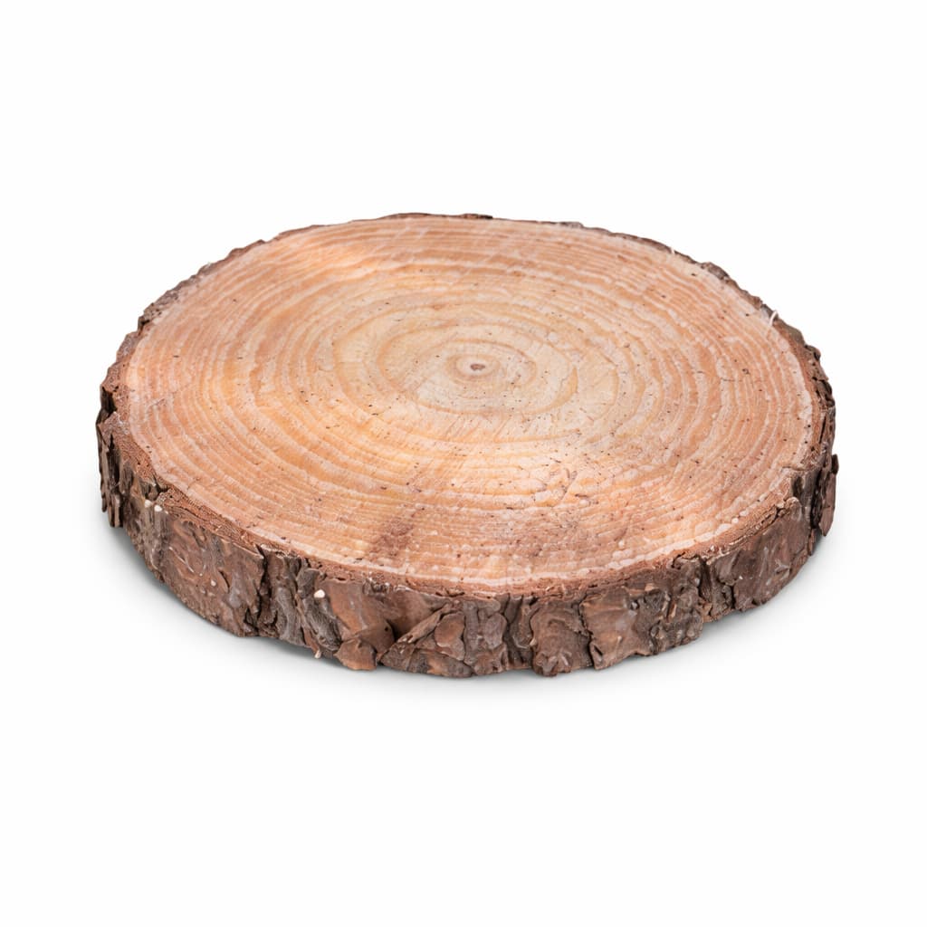 Kit 40 Bolachas de Madeira Reflorestada 2 a 3cm Espessura Artesanato Premium