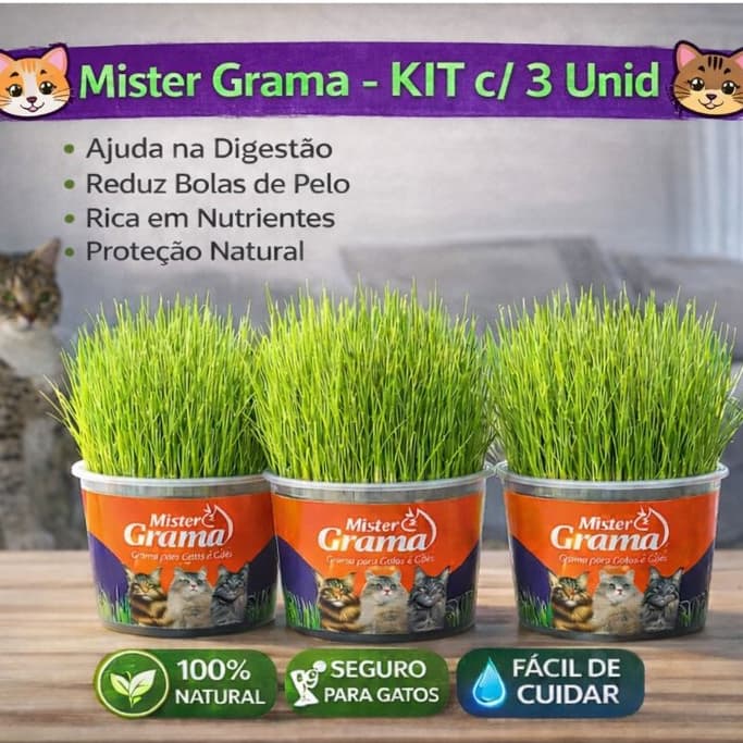 Graminha para Gatos Mister Grama Kit c/ 3 | Auxilia Digestão e Reduz Bolas de Pelo | 100% Natural