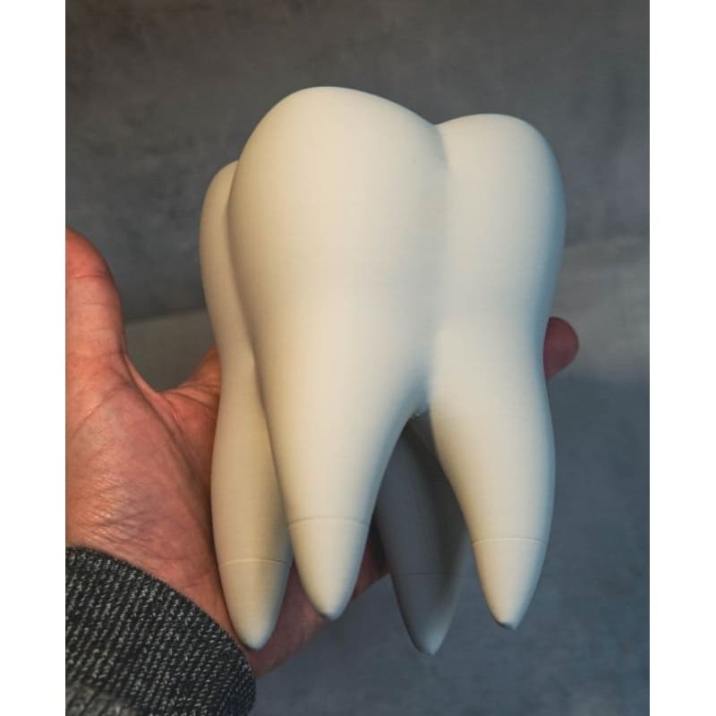 Escultura Decorativa Dente de Mesa Premium - Luxo e Sofisticação para Odontologia
