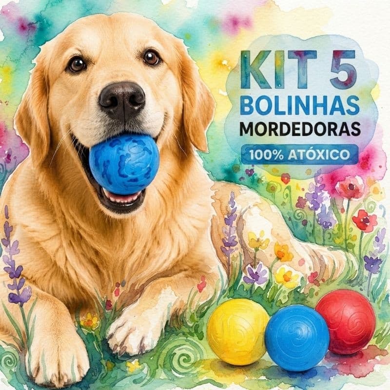 KIT 5 Bolas Maciças Lisa  55  mm Cores Sortidas Cachorro Gato Pet