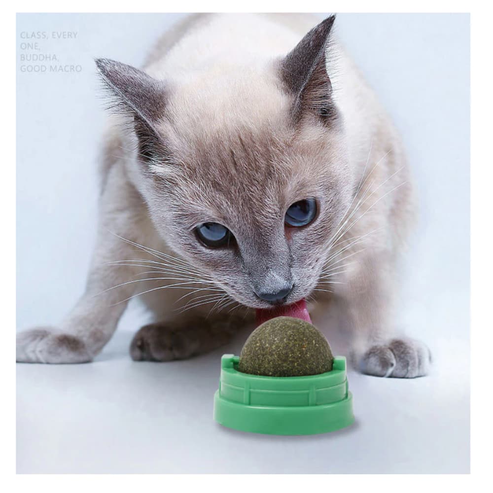 Brinquedo com Catnip Bola para Gatos Erva Natural Interativo