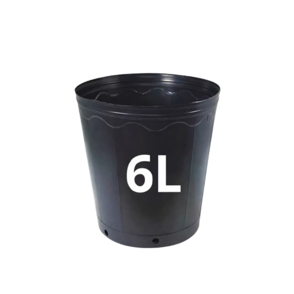 Kit Com 3 Vaso Para Muda De Planta 6 Litros Flores Hortaliças Plástico Resistente