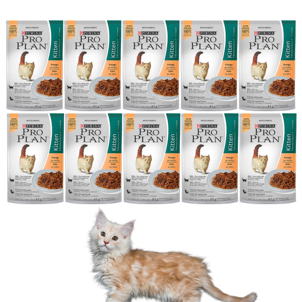 Kit Com 10 Sache Alimento Ração Purina Pro Plan Kitten Super Premium Gato Filhote 85g