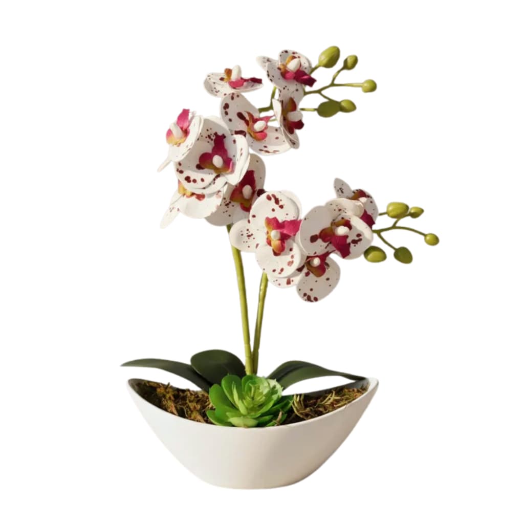 Planta Artificial Arranjo Orquidea Suculenta Luxo