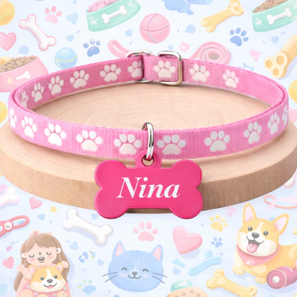 Coleira Fivela Pet Personalizada para Cachorro Gato Com Nome Gravado Várias cores DD3