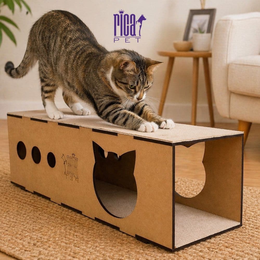 Arranhador Gato Brinquedo Tunel Carpete Duplo Protetor Rampa Premium