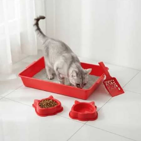 Kit para Gato Completo Bandeja Higiênica Caixa de Areia Sanitária Grande Resistente Fácil Limpeza