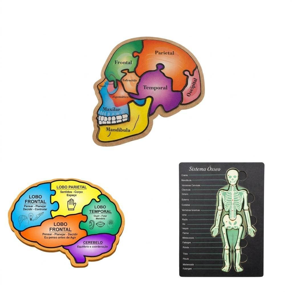 Kit 3 Quebra Cabeças Em MDF Educativo Para Estudar Corpo Humano Cérebro Crânio e Esqueleto