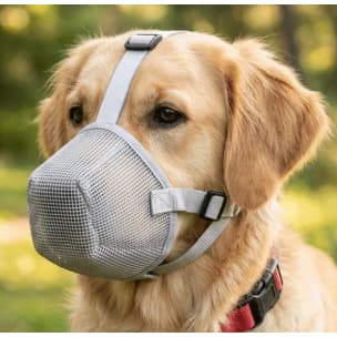 Focinheira Tela Cinza Respirável para Cachorro Tamanho M