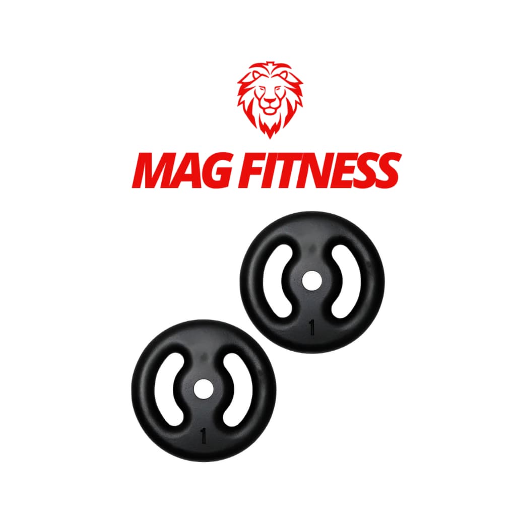 Par Anilha Pintada 15kg Musculação Academia Treino Funcional Peso Livre Casa Exercício Fitness