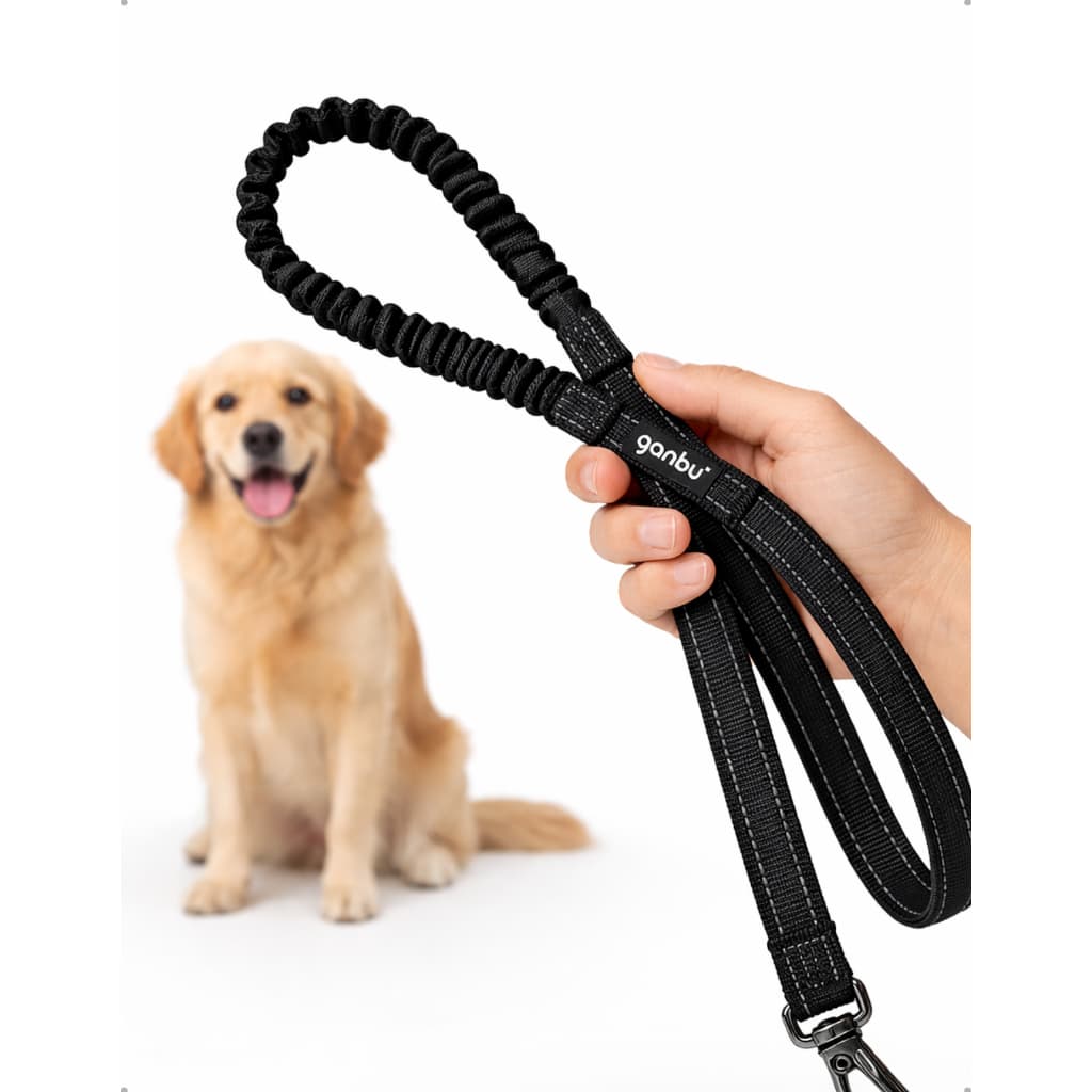 Guia Elástica Amortecedora para Cachorro Bungee Jump Anti-Impacto Resistente para Passeio