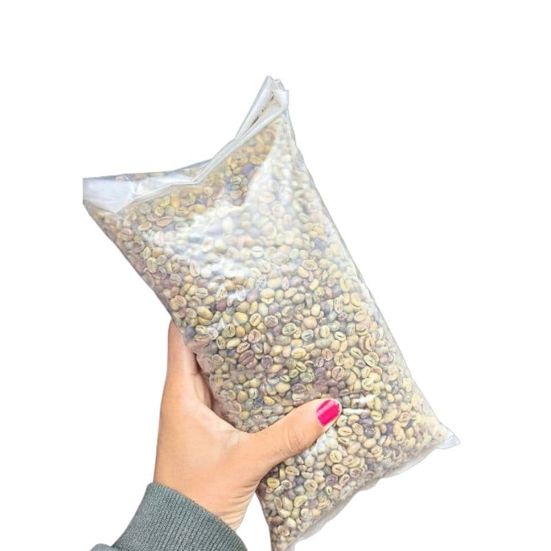 Café em grãos verde - Conilon/Robusta 100% puro - 1kg - Café Pilado