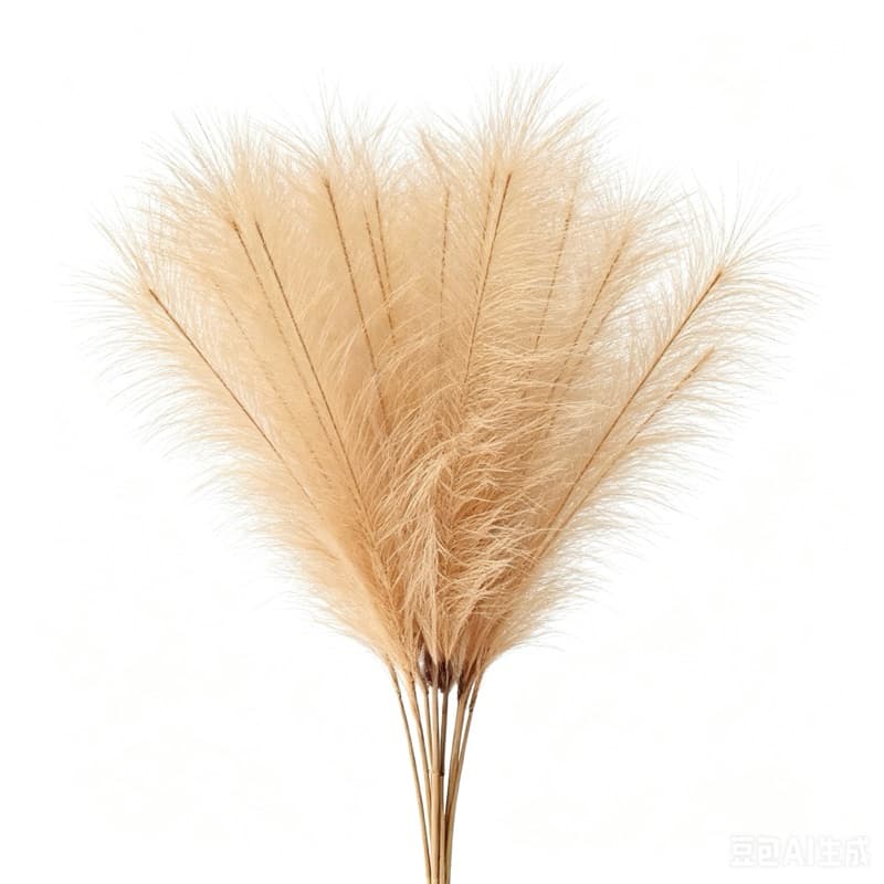 Capim dos Pampas Artificial 64cm | 1 Galho Premium para Decoração Casa e Eventos | Pronta Entrega