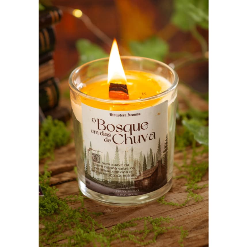 Vela Aromática Artesanal Literária I Cera Vegetal I Pavio de Madeira I Coleção de Velas Literárias Geek Bookstan