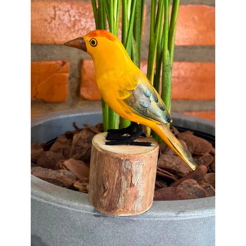 Pássaro de madeira no toco/aves Brasileiras decorativas