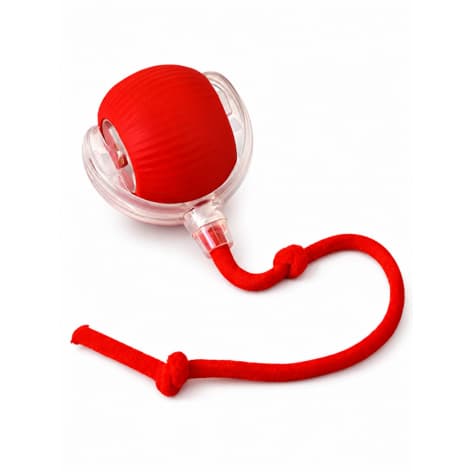 Bolinha Elétrica Interativa Brinquedo Inteligente Gato Cachorro Sortido