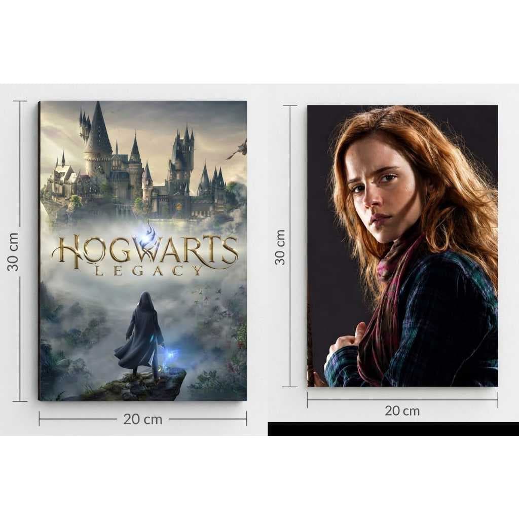 Kit Quadro Gamer HD Premium - Harry Potter Hogwarts Legacy Jogo Filme Hermione