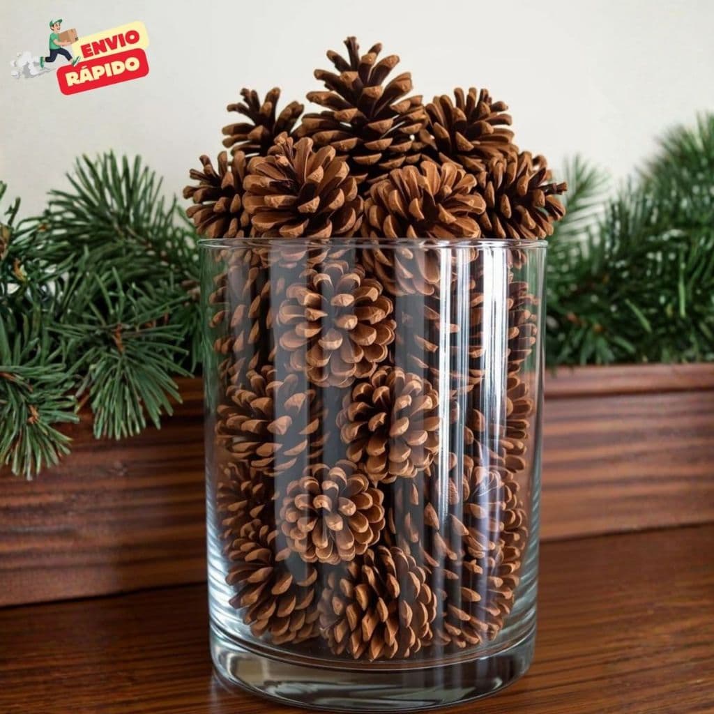 Kit 10 Pinhas Naturais Para Decoração de Natal Guirlanda Arvore de Natal Aves Roedores 100% Natural