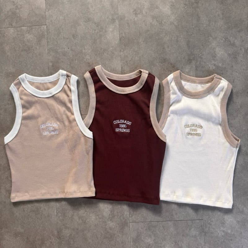 Kit 3 Cropped Regata Feminina Bordada Canelada Blusinha Croped Feminino Cand Color Regatinha Camisetinha Canelado Babyte