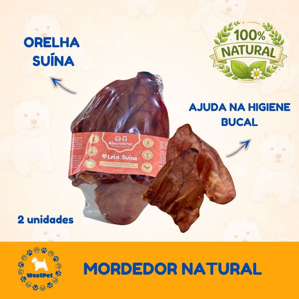 Mordedor Natural Para Cachorro Orelha Suína Desidratada Petisco 1 Unidade