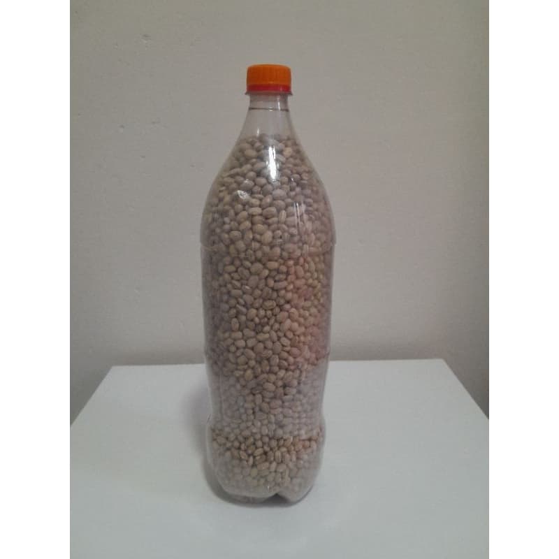 Feijão Carioca para Consumo,Plantio,Orgânico do Norte de Minas Gerais 2 Litros