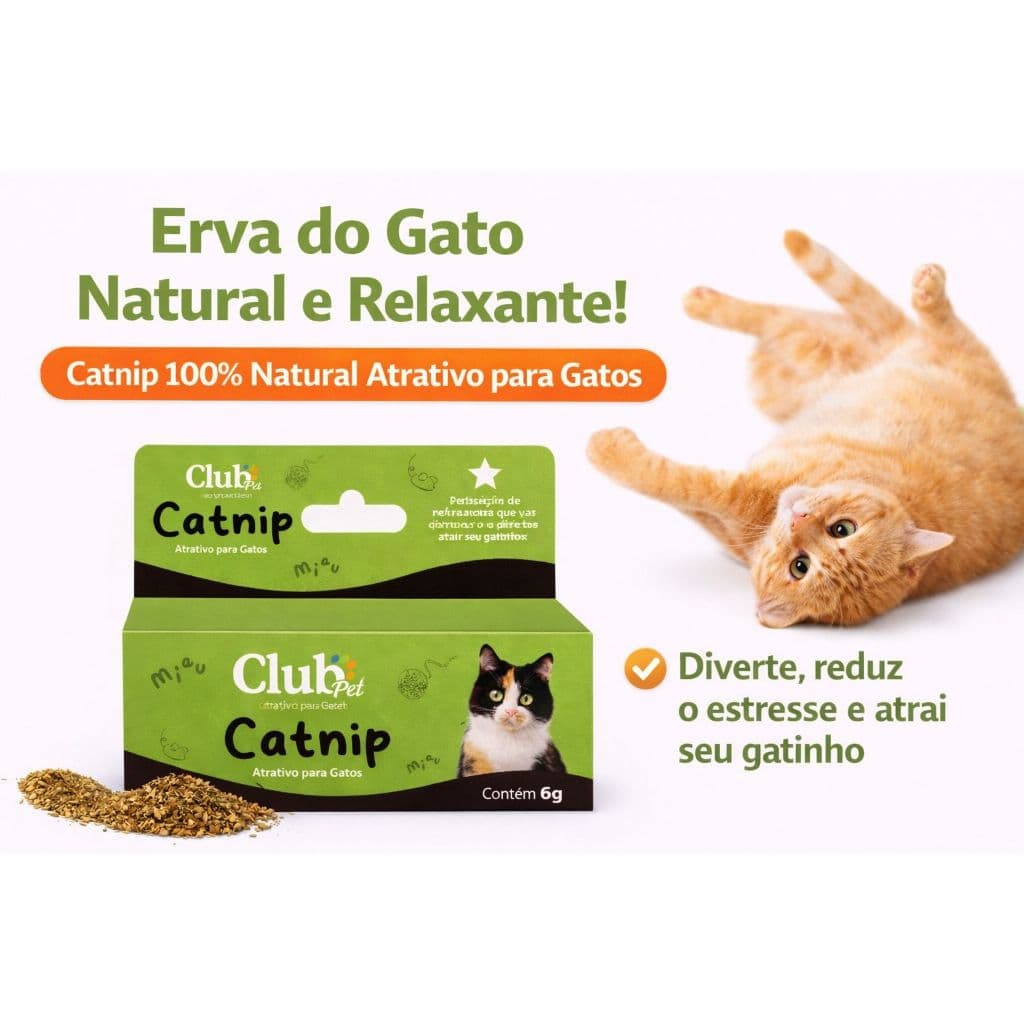 Catnip para Gatos 6g – Erva do Gato Natural Atrativo Relaxante Club Pet