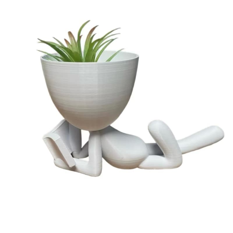 Jarrinho robert leitor decorativo para cactos/suculentas