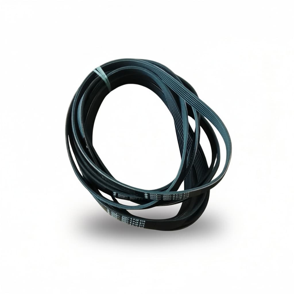 Correia Tanquinho Newmaq Up 10kg 6PJE/JMA616 Original