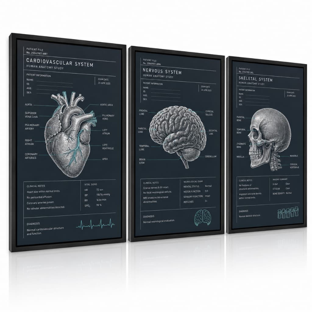 Quadro Decorativo Anatomia Médica Coração Cérebro Esqueleto Kit 3 Peças Presente Médico Formatura