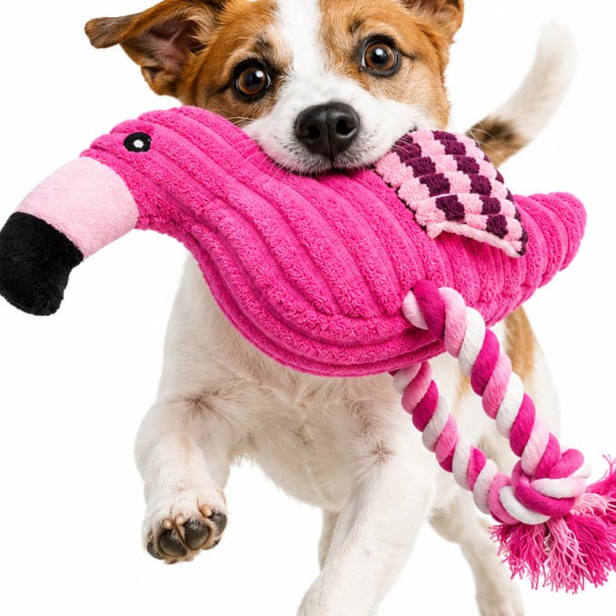 Pelúcia para Pet Flamingo com Pernas de Corda – Brinquedo Divertido e Resistente