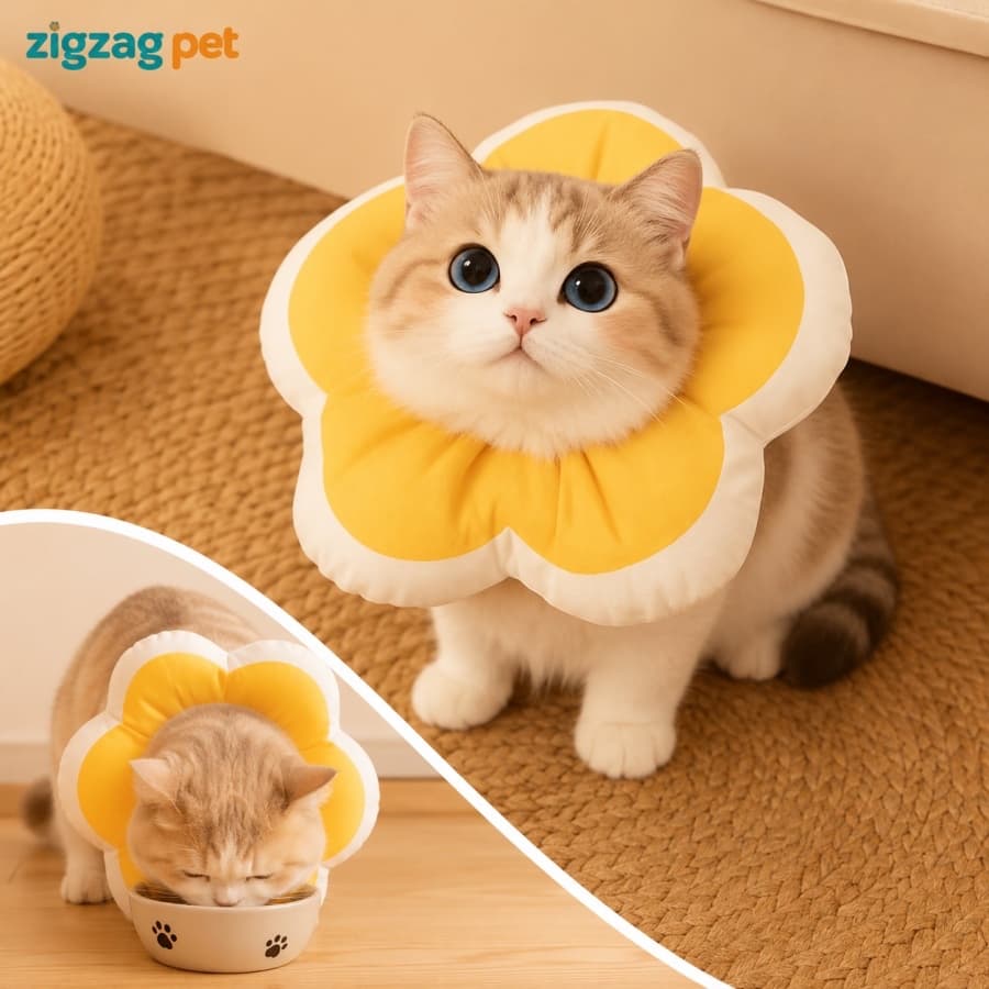 Colar Elizabetano Flor para Cães e Gatos Macio Ajustável Pós-Cirúrgico Antilambedura