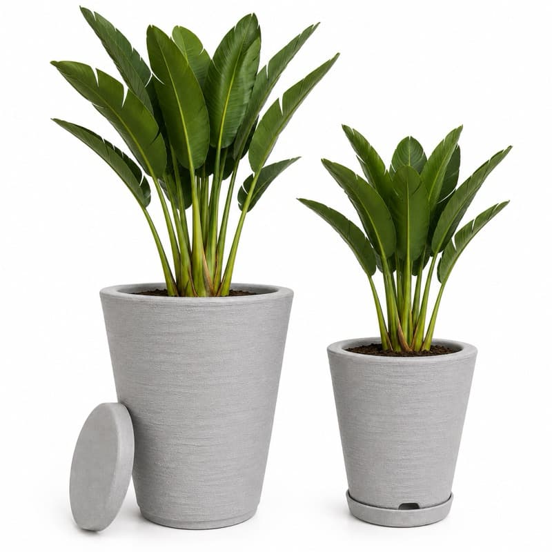 Vaso para Plantas Decorativo Kit 2 Vasos de Polietileno Grande e Médio Jardim Sala Varanda Área Externa Interna