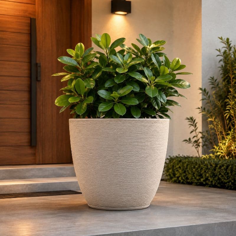 Vaso Redondo Grande Bojo 3 Vaso para plantas 50x43x33 vaso de polietileno