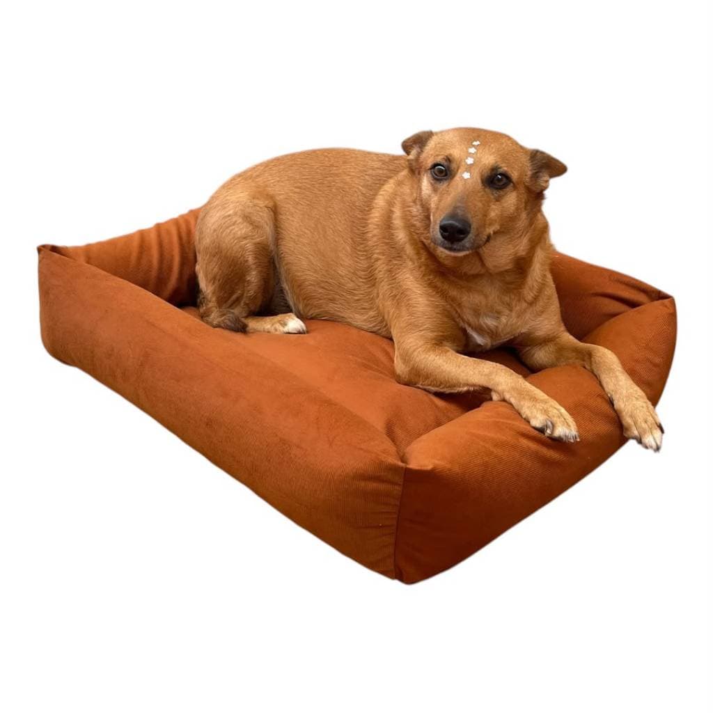 Cama Pet M 60x50cm Suede Macia Com Zíper Cão Pequeno Gato