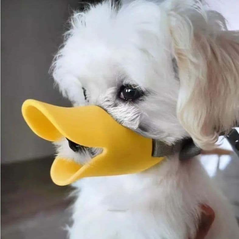 Focinheira Bico De Pato Em Silicone Cachorro Confortável Evita Ingestão, Latidos e Mordidas para Pequenos e Médios