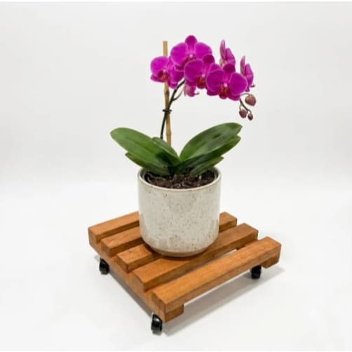 Suporte para Vasos de Plantas com Rodinhas 360° Madeira Reforçada Móvel para Plantas e Flores