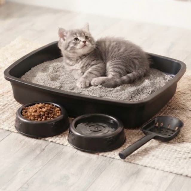 Kit Higiênico com Caixa de Areia Para Gatos com Pá Comedouro Bebedouro Banheira Sanitária