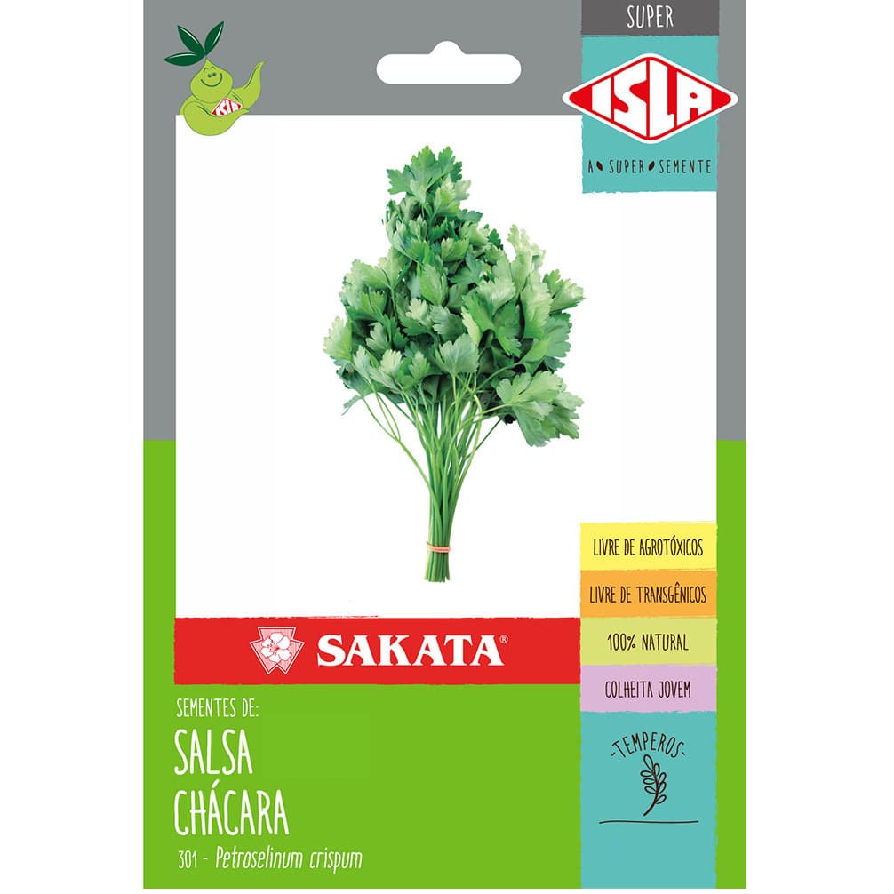 10 sementes Salsa Chacara