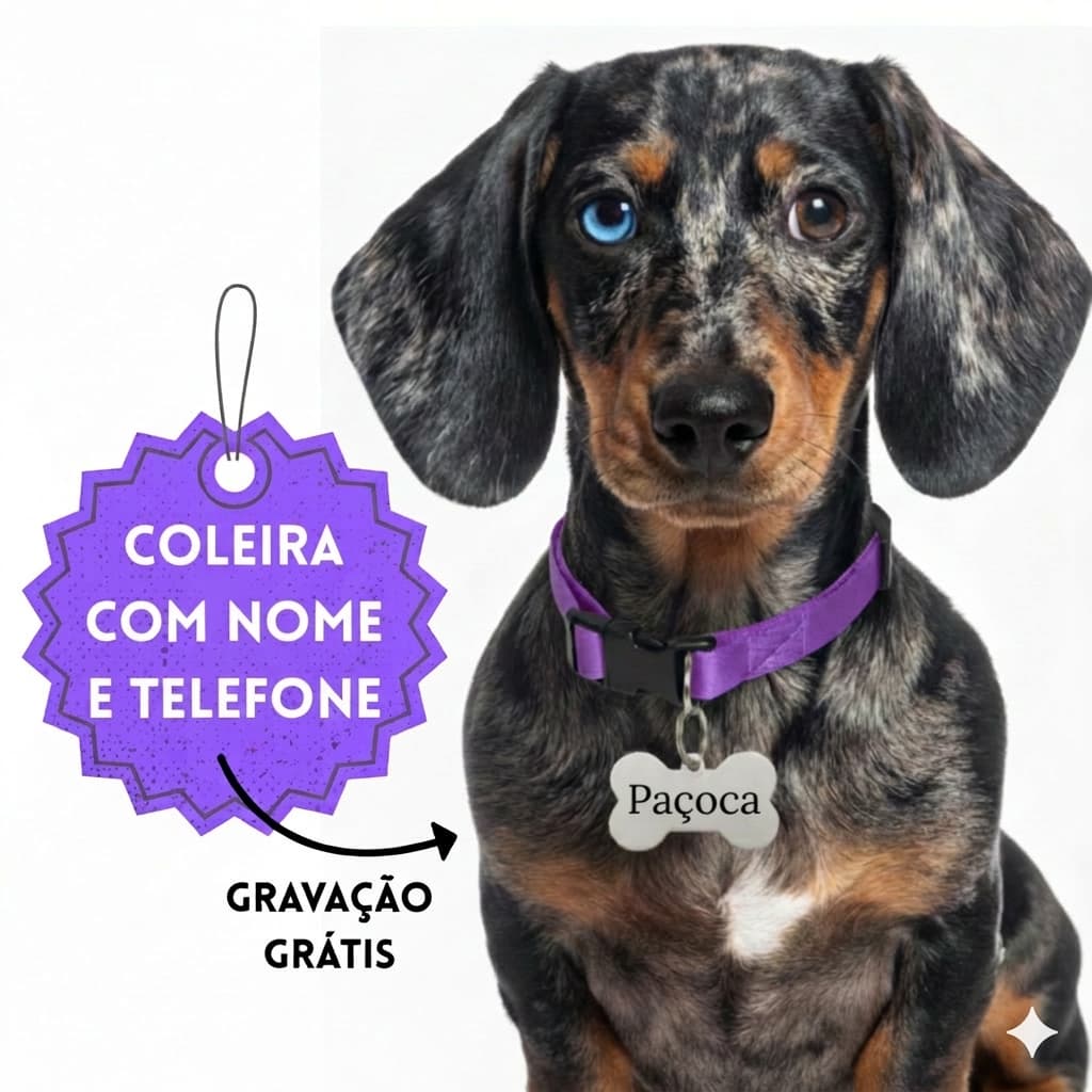 Coleira para Cachorro com Identificação Personalizada com Nome e Telefone para Cachorro Pequeno e Médio Filhote e Adulto