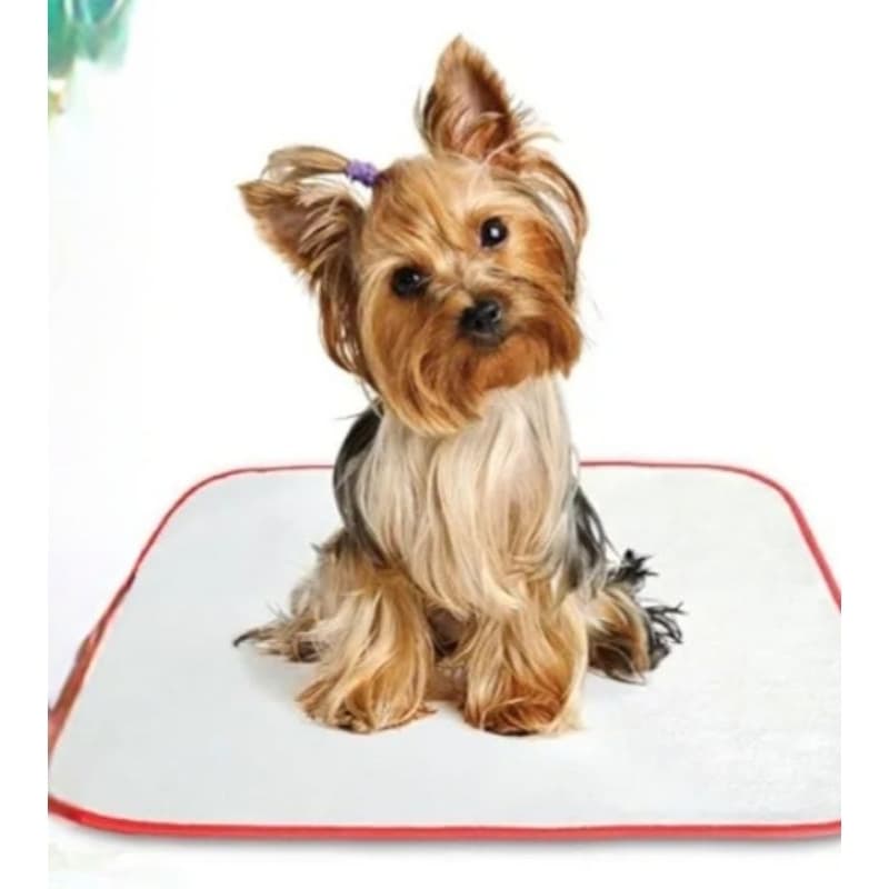 Tapete Higiênico Lavável Cães Pet Wash P 60X50cm.