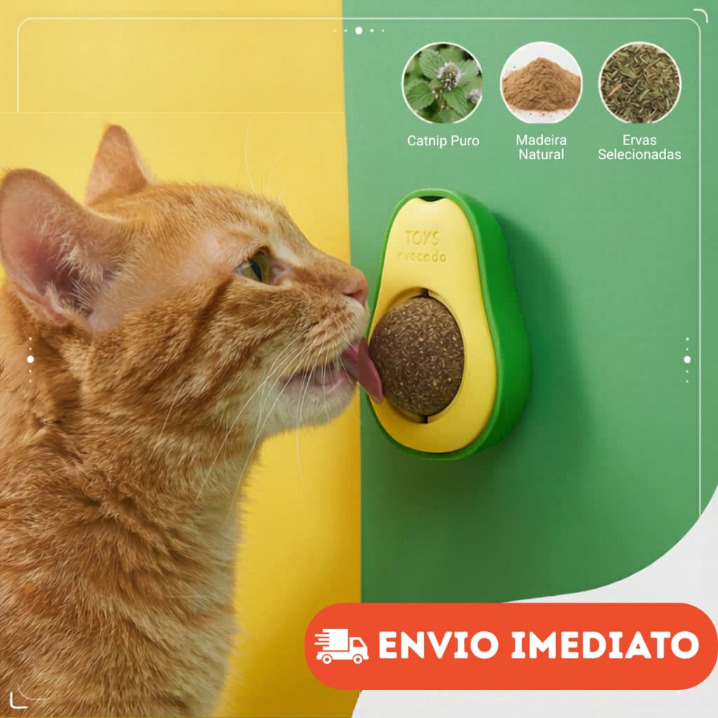 Abacate Catnip Brinquedo Para Gatos Erva Gato Natural Abacate Pet