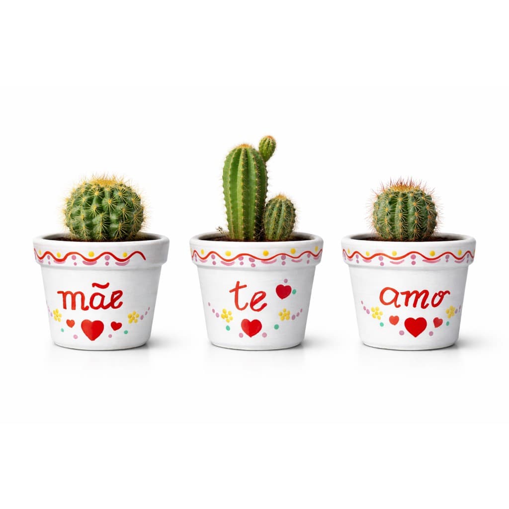 Kit 3 Vasos Decorativos para Presente de Mãe - Elegância e Amor